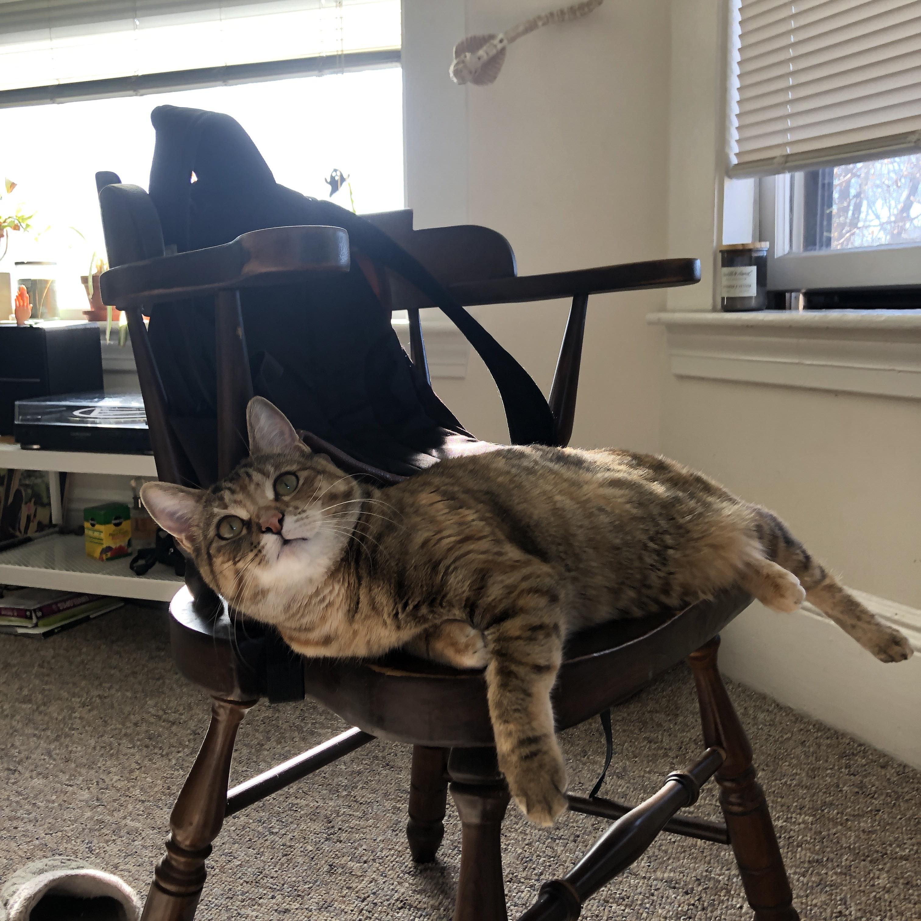 绝杀时刻,杰伦格林致命三分与雄鹿险胜76人的制胜之道