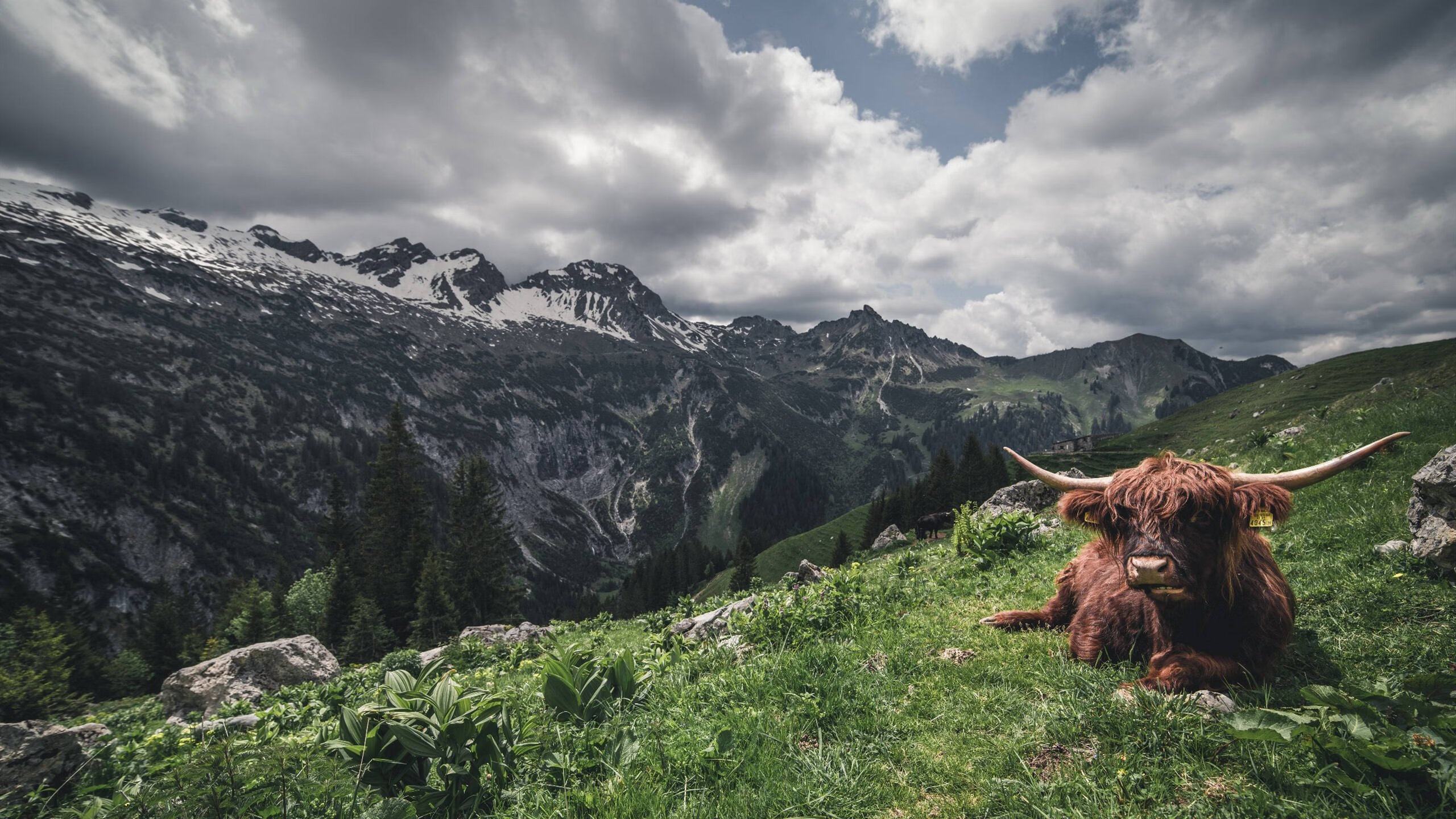 字母哥降临掘金华丽隔空对决,关键先生本色碾压奇才