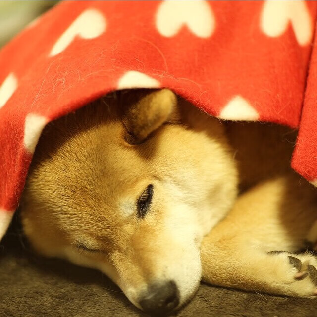 扩展思维拟定的文章标题