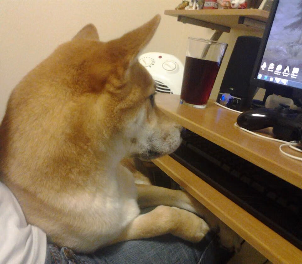 无声的轰鸣,罗德里一射定江山,定义曼城欧冠之夜