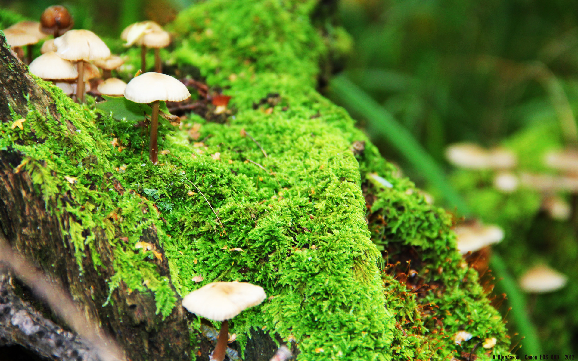 冰火之歌,当冰川防线遇上攻防艺术家—斯通斯定义现代中卫的巅峰一夜