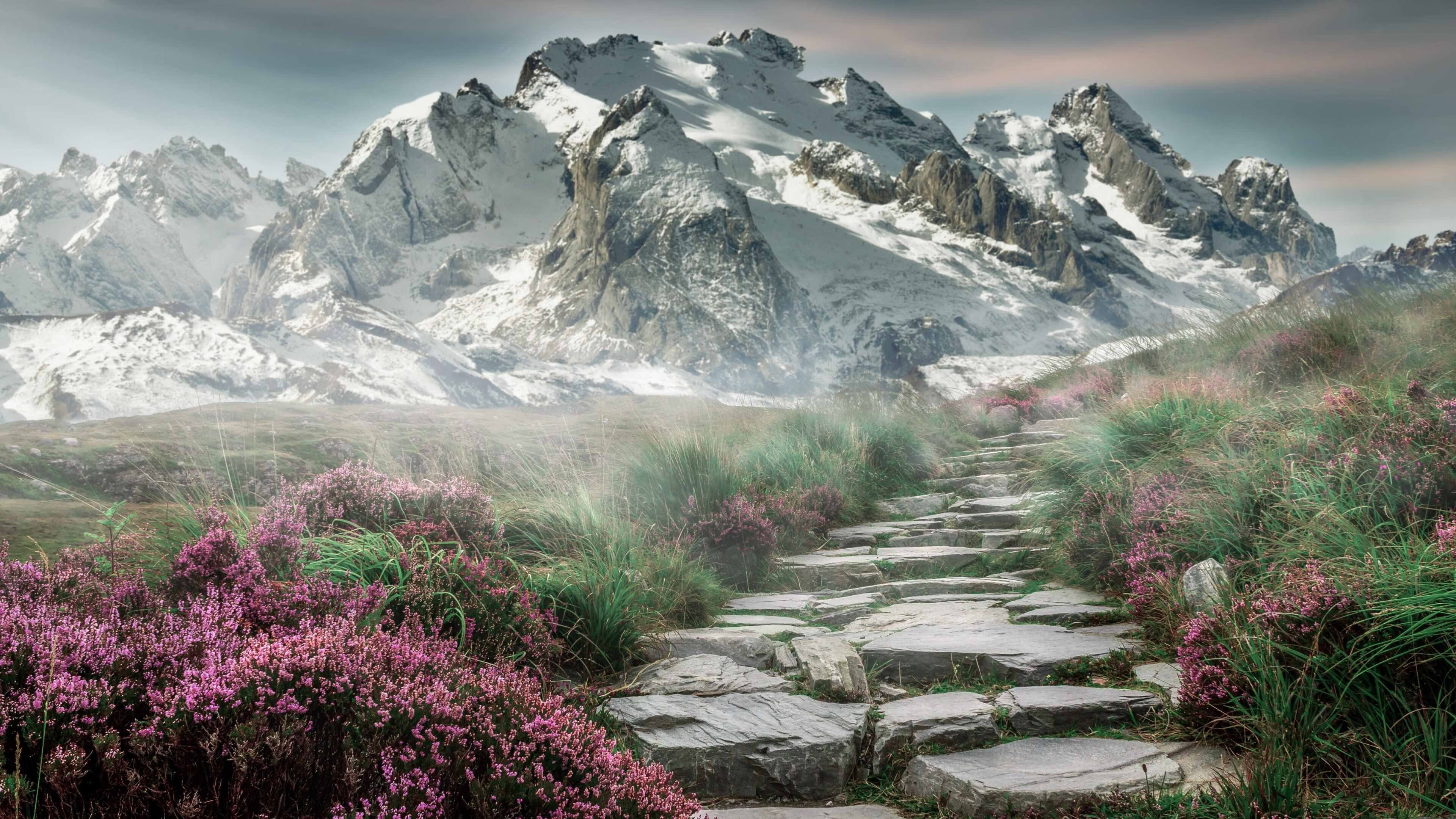 铁蹄烈焰中的指挥家，保罗用手术刀肢解火箭，独行侠的逆转乐章