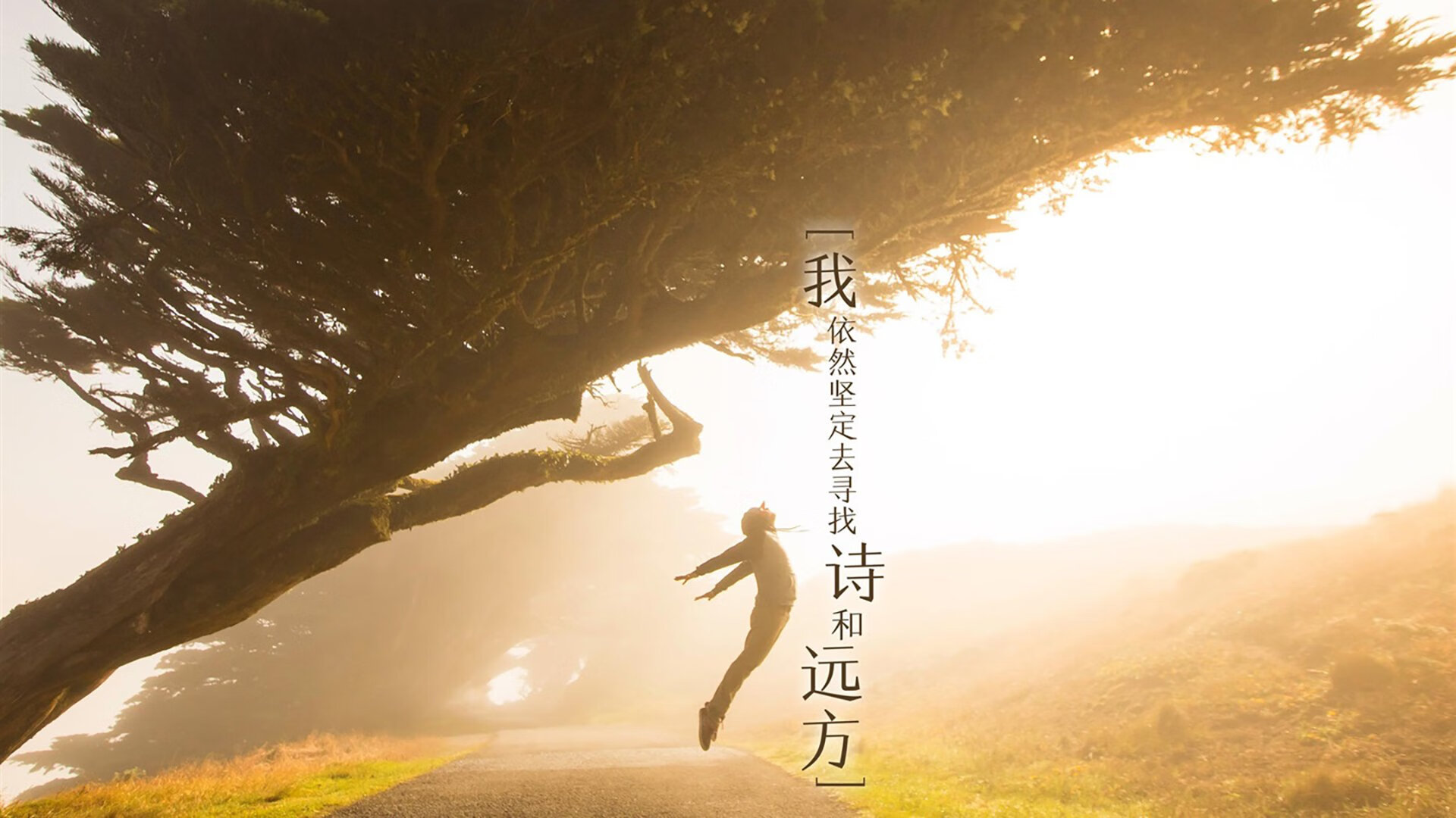 范弗利特引擎，当森林狼的奔袭遇上山西队的铁壁，节奏大师如何重构赛场法则？