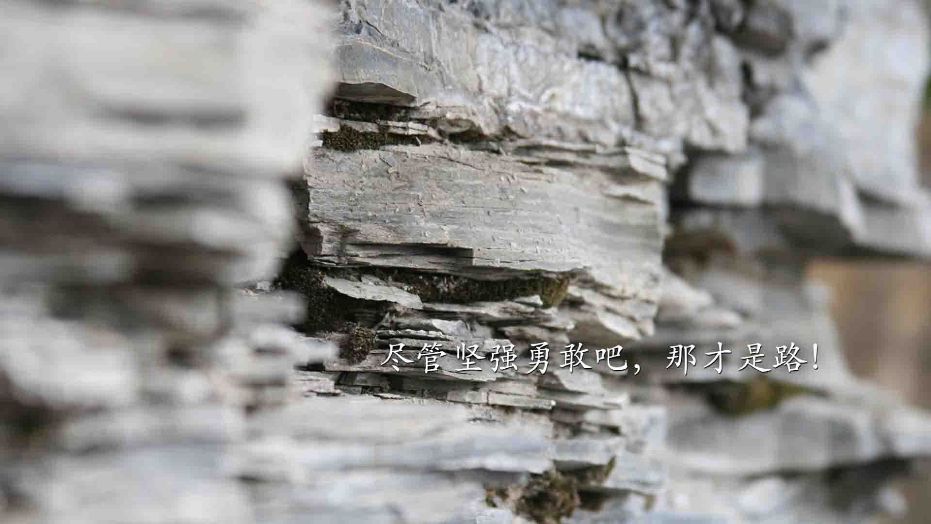 篮球的两种心跳，当山西的群山回响纽约的绝杀