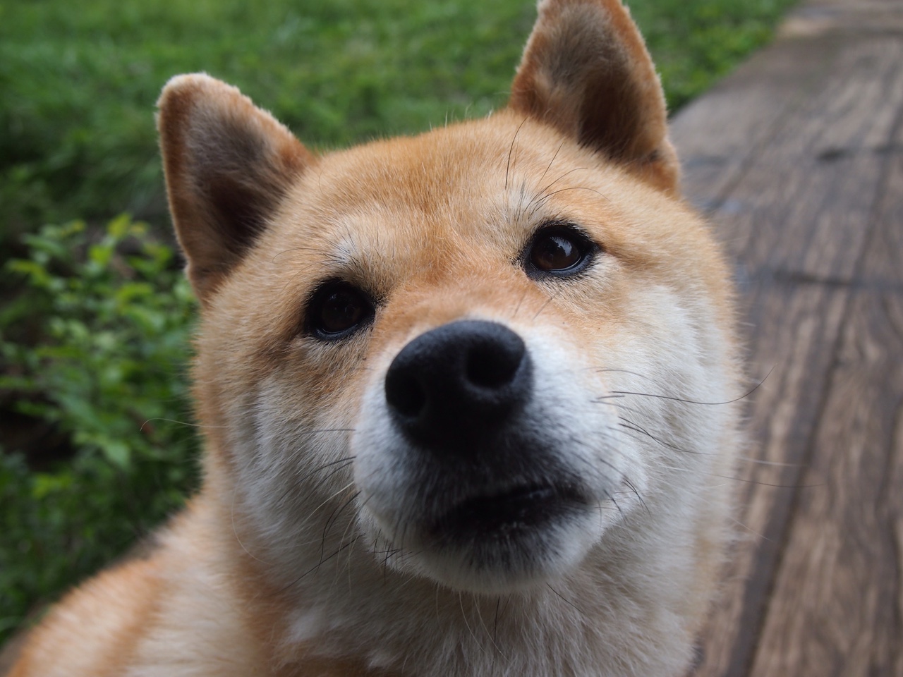 开云体育平台APP-越过所有怀疑的锚点，霍勒迪的证明与独行侠的无声宣告