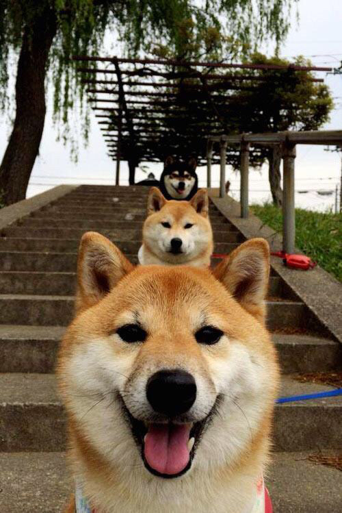 当欧冠决赛之夜遇上恩比德评分拉满，一场体育世界的降维共鸣