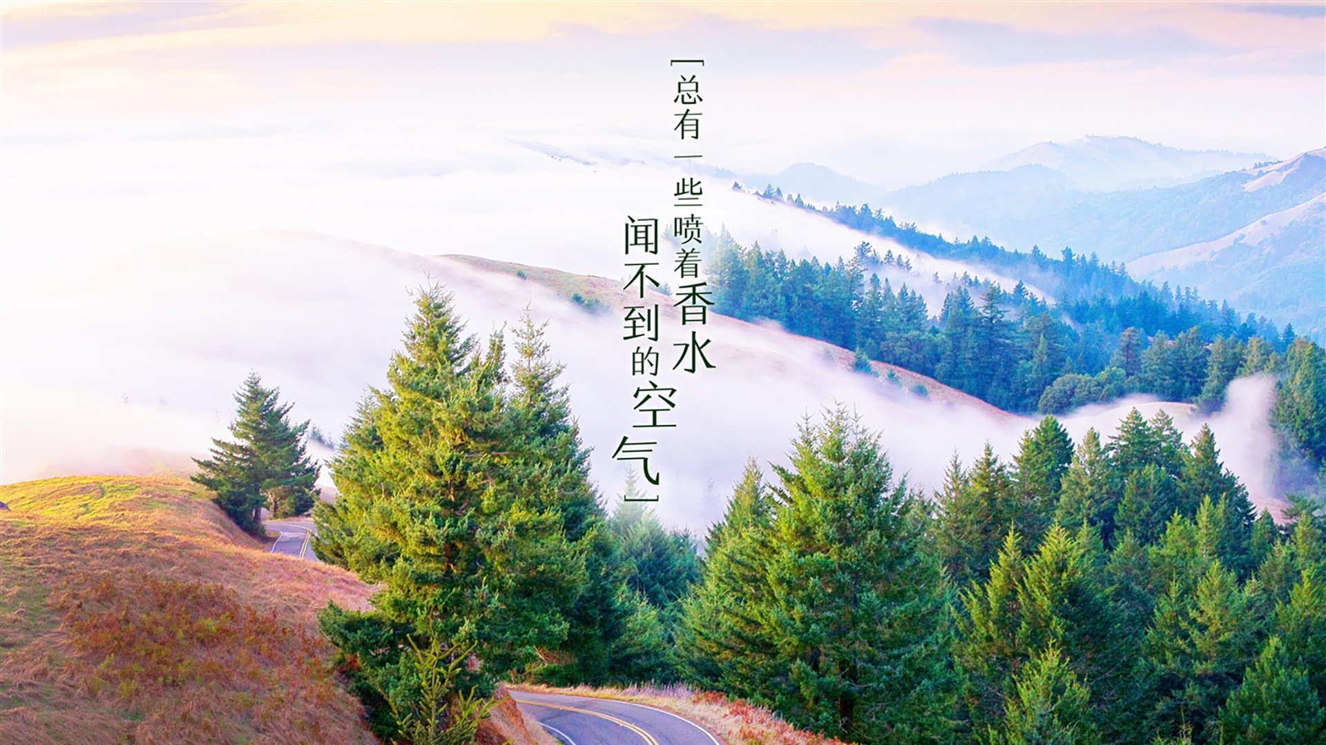 于无声处听惊雷，当伊朗之墙崩塌在丁丁的最后一舞—2026世界杯A组唯一一场定义了死亡之组的战役