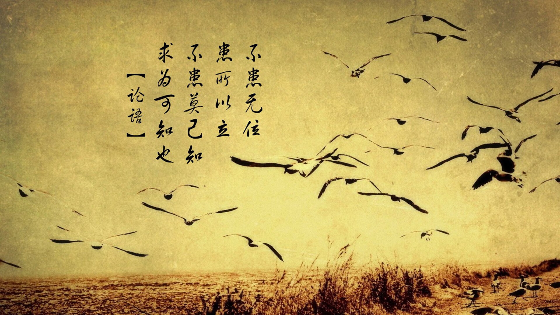蓝衣军团的铁幕,2026世界杯H组,意大利如何用非典型压制为比利时上一课,以及坎塞洛那记逆火重炮